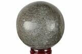 Polished Agatized Dinosaur (Gembone) Sphere - Morocco #189814-1